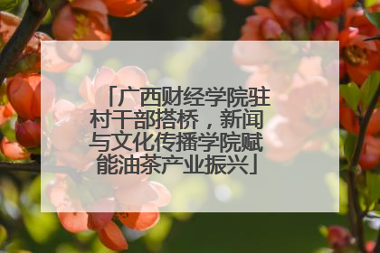 广西财经学院驻村干部搭桥，新闻与文化传播学院赋能油茶产业振兴